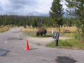 Yellowstone0806 088.jpg